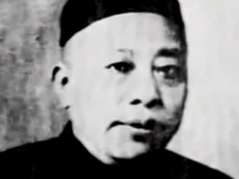 imagen Crimen Organizado: La Mafia China