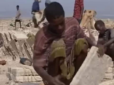 Tribus De África: Los Afar De Etiopía