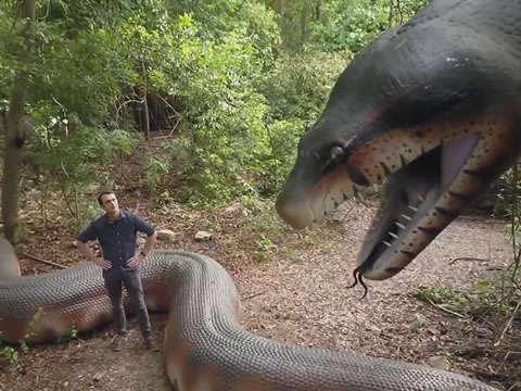 imagen Misterios De Los Gigantes Extintos: Titanoboa y Paraceraterio