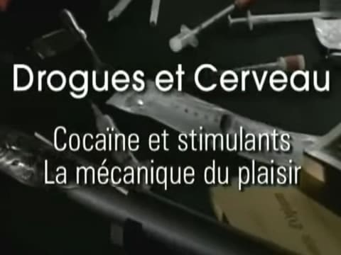 Drogas Y Cerebro: Cocaína Y Estimulantes