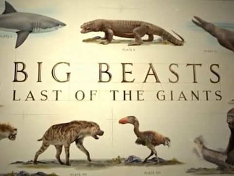 Los Últimos Gigantes, Las Grandes Bestias: Australia Y Asia