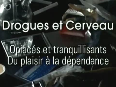 Drogas Y Cerebro: Opiáceos Y Tranquilizantes