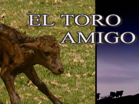 El Toro Amigo