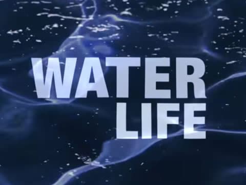 imagen Water Life: El Agua Fugaz