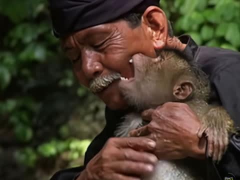 Señores De Los Animales: Los Recolectores Del Cielo