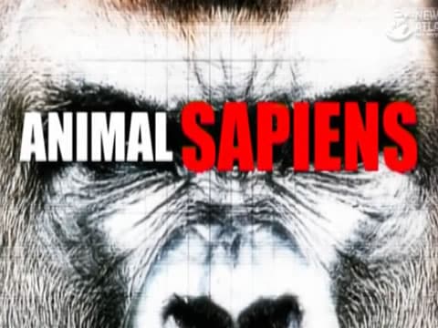 Animal Sapiens