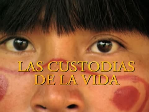 imagen Las Custodias De La Vida