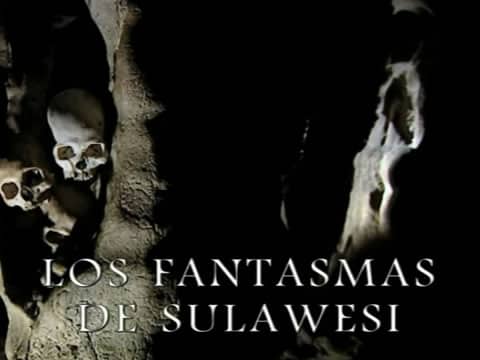 Los Fantasmas De Sulawesi